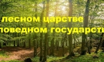 В Лесном царстве Заповедном государстве