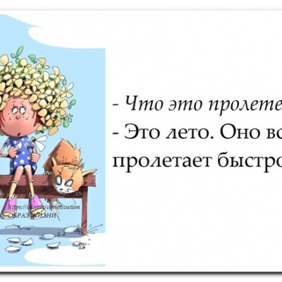 ВОТ И ЛЕТО ПРОШЛО... 0