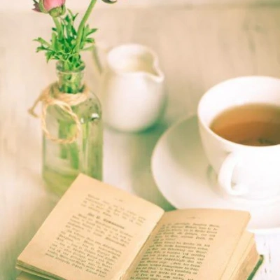 &laquo;Книга и чай&raquo; литературное чаепитие 0