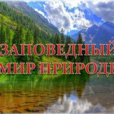 В Лесном царстве Заповедном государстве 6
