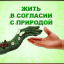 Живи  в  содружестве  с  природой