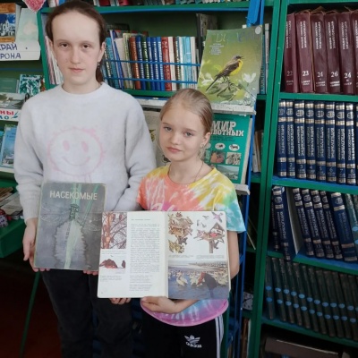 Наши крылатые друзья 3