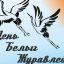 Белые журавли