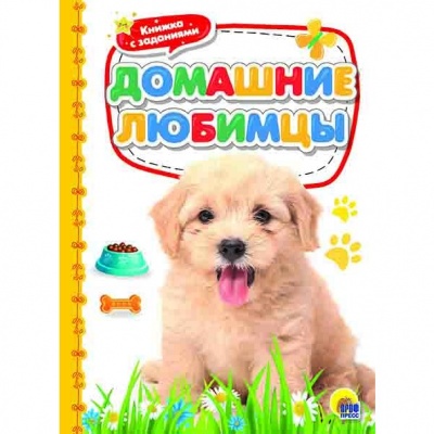 НАШИ ДОМАШНИЕ ЛЮБИМЦЫ 0