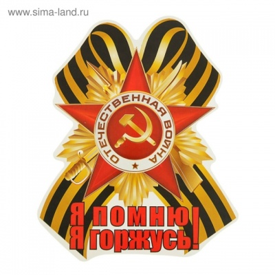 Я ПОМНЮ! Я ГОРЖУСЬ! 0