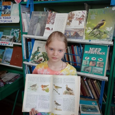 Наши крылатые друзья 4