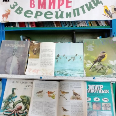 Наши крылатые друзья 1