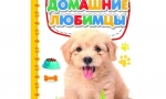 НАШИ ДОМАШНИЕ ЛЮБИМЦЫ