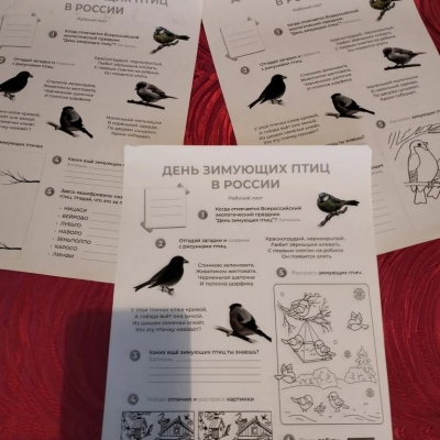 ДЕНЬ ЗИМУЮЩИХ ПТИЦ 7