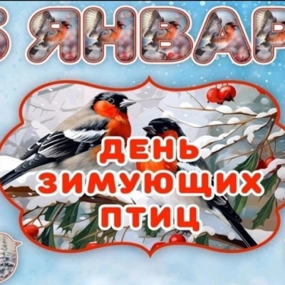 ДЕНЬ ЗИМУЮЩИХ ПТИЦ 0