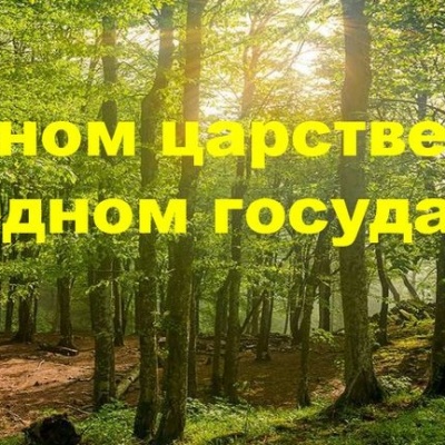 В Лесном царстве Заповедном государстве 0